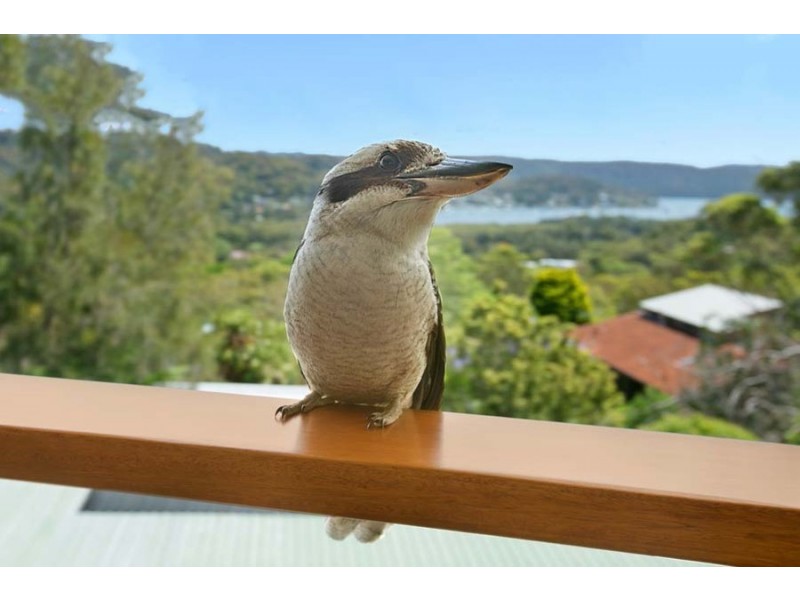 72 Binburra Avenue, Avalon Beach NSW 2107