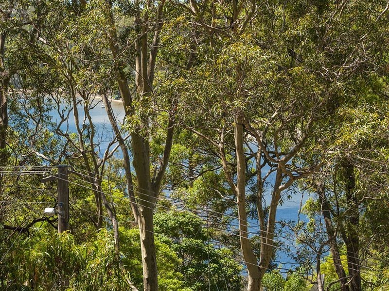 79 Patrick Street, Avalon NSW 2107