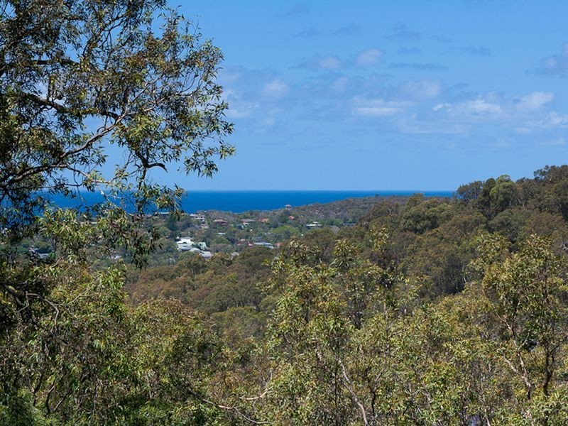 11 Wandearah Avenue, Avalon NSW 2107