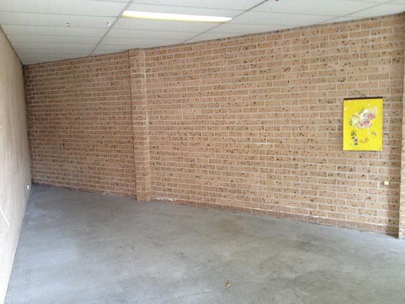 19 Carnegie Place, Blacktown NSW 2148