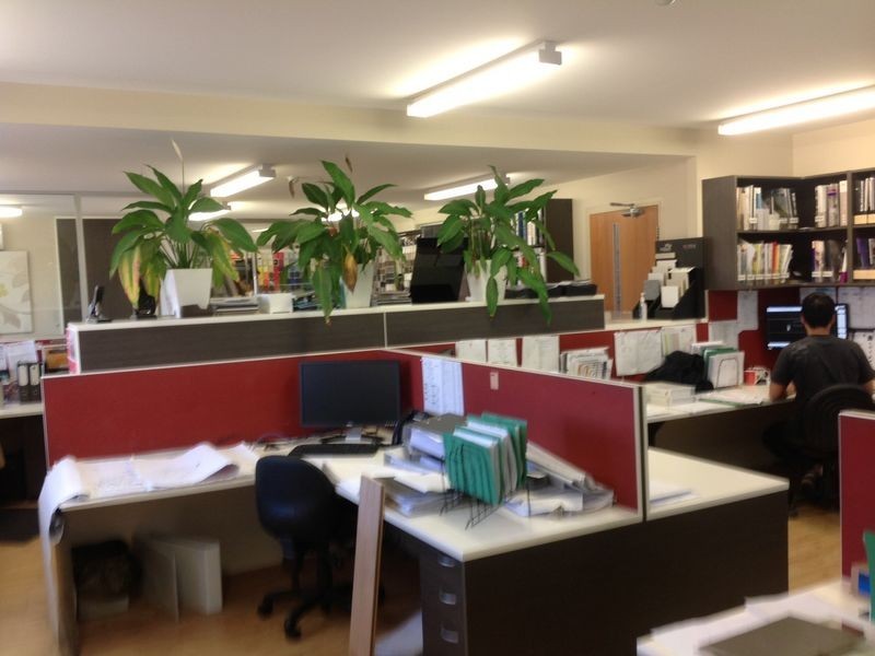 3 Stoddart Road, Prospect NSW 2148