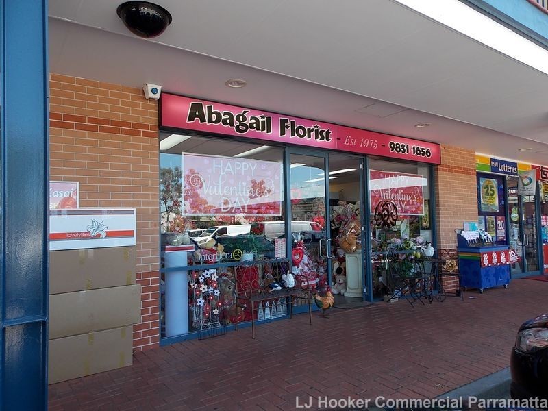 11/69 Holbeche Road, Arndell Park NSW 2148