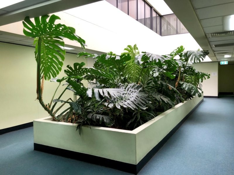 9/80 Kitchener Parade, Bankstown NSW 2200