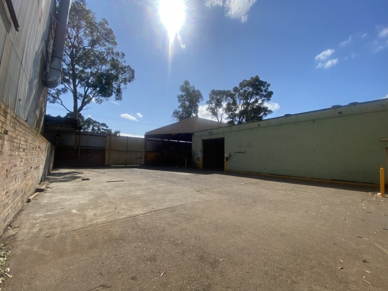 49 Bryant Street, Padstow NSW 2211