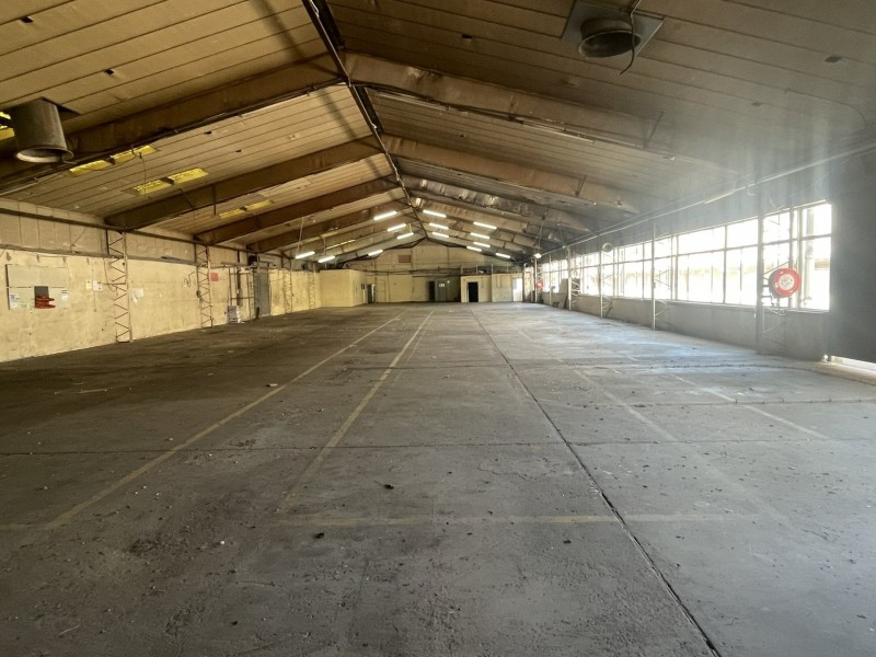 55a Moxon Road, Punchbowl NSW 2196