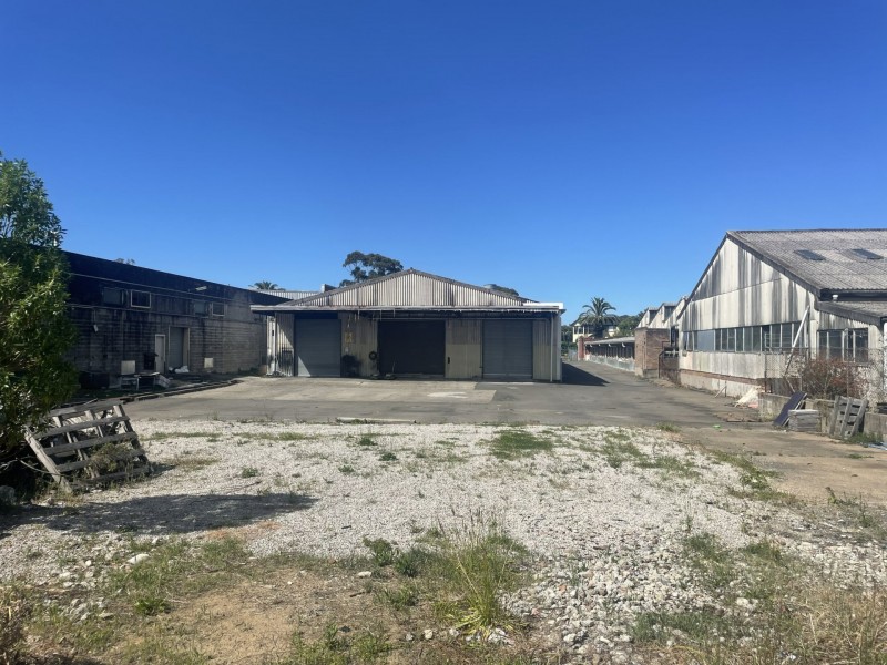 55a Moxon Road, Punchbowl NSW 2196