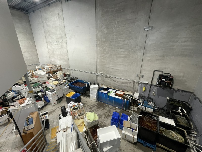 18/8-20 Queen Street, Revesby NSW 2212