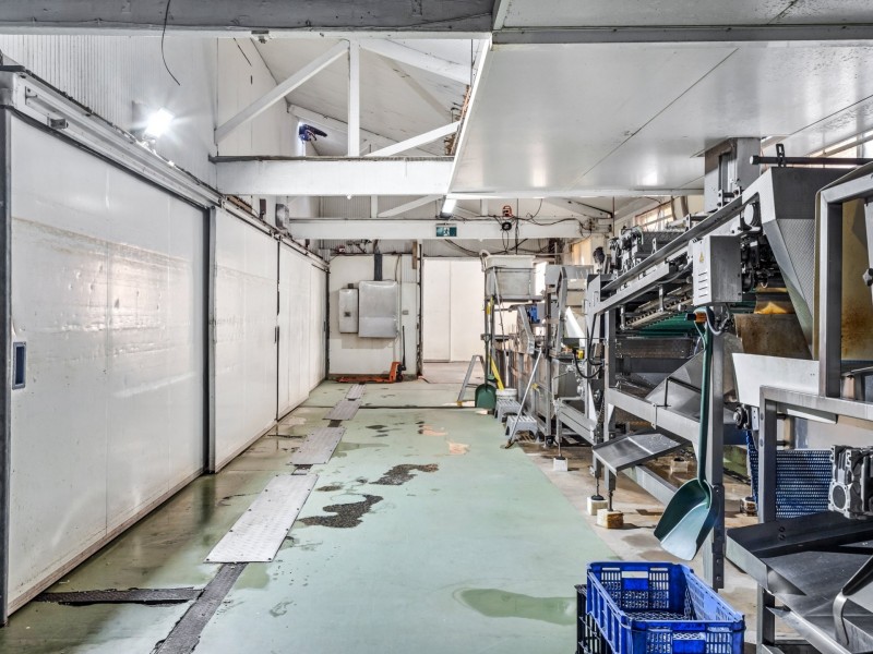 178 Carrington Street, Revesby NSW 2212