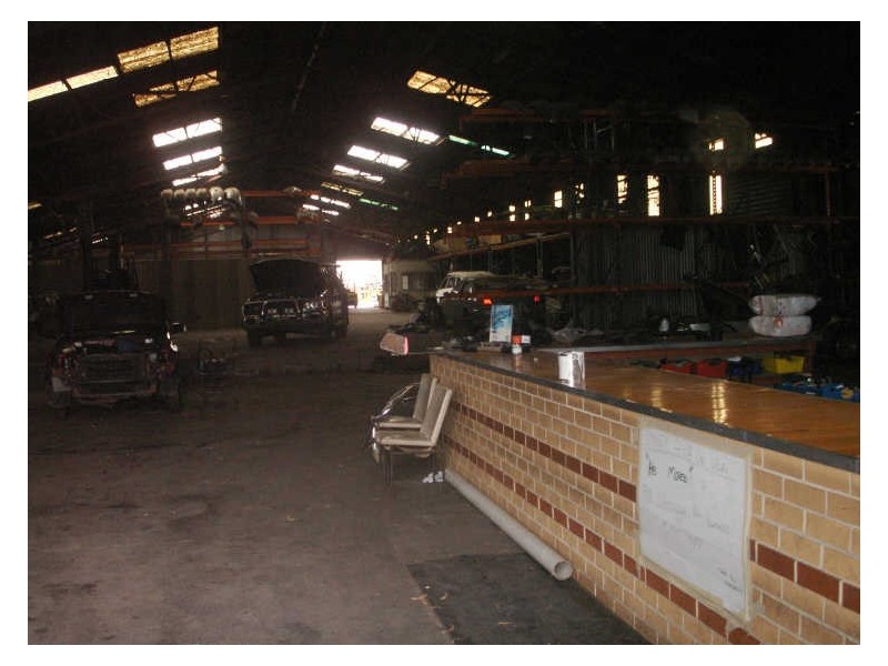 31 Fitzpatrick Street, Revesby NSW 2212