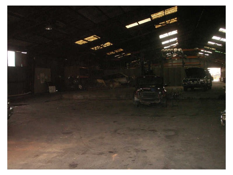 31 Fitzpatrick Street, Revesby NSW 2212