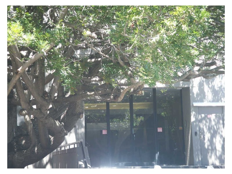 8/6 – 8 Crewe Place, Rosebery NSW 2018