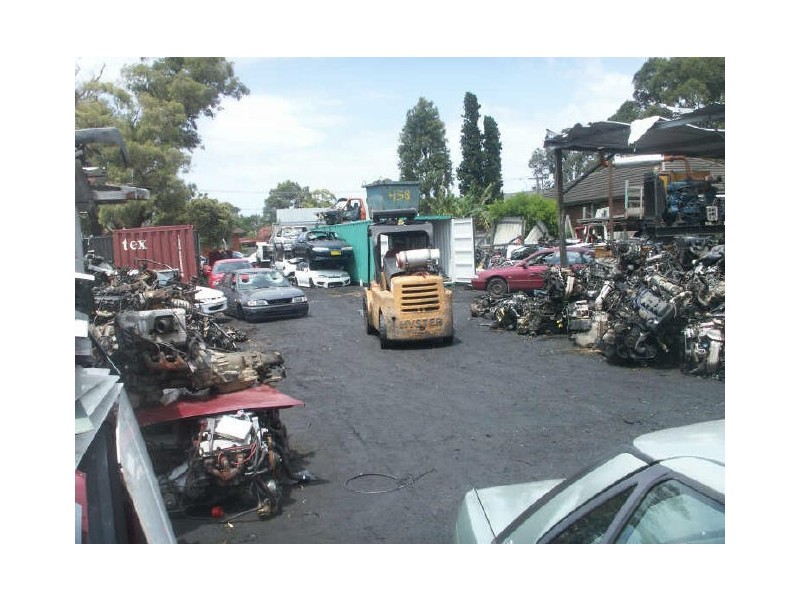 21 Weyland Street, Punchbowl NSW 2196