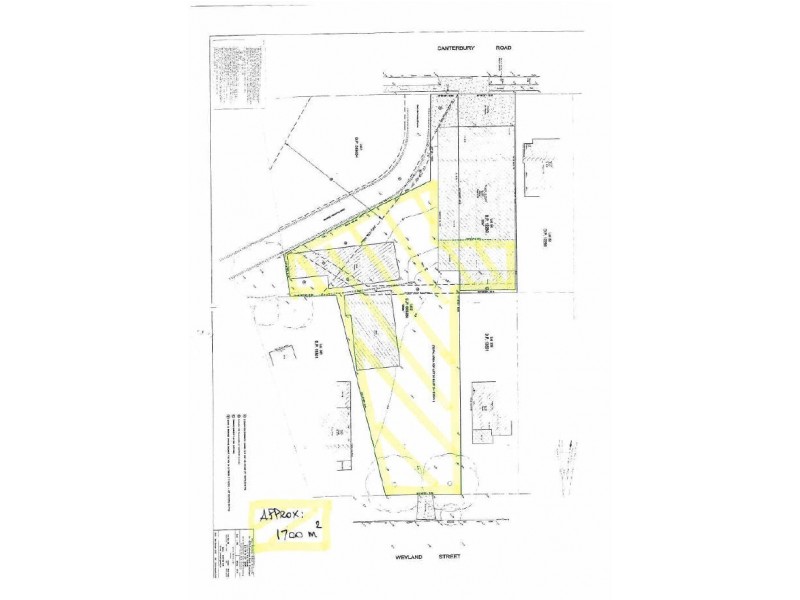 21 Weyland Street, Punchbowl NSW 2196