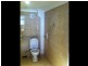 Ashfield NSW 2131