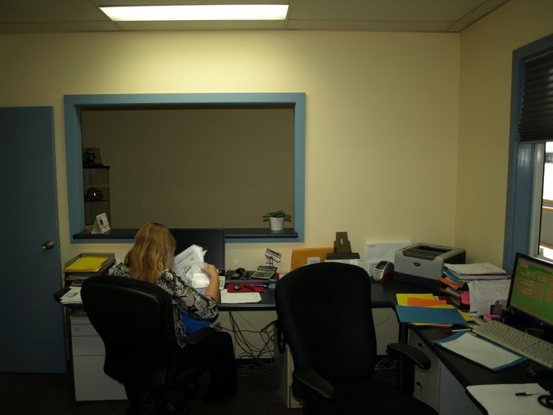 2 Euston Street, Rydalmere NSW 2116