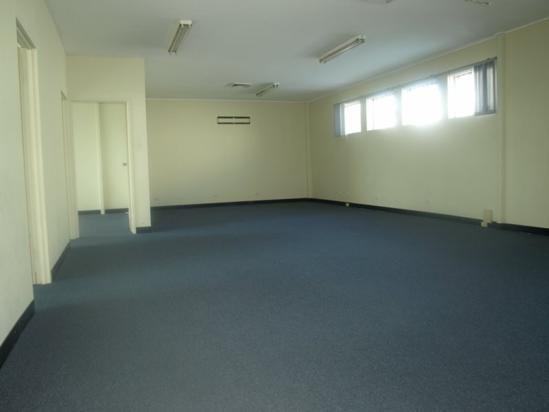 25A Euston Street, Rydalmere NSW 2116