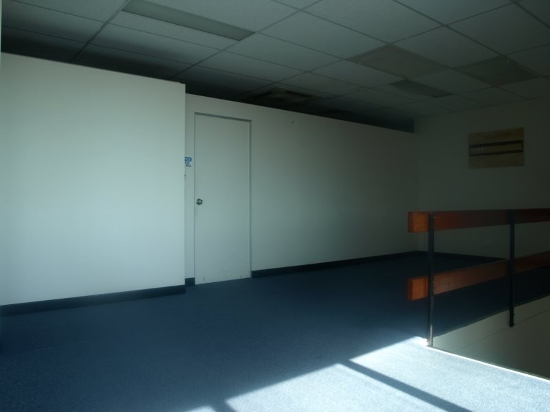 25A Euston Street, Rydalmere NSW 2116