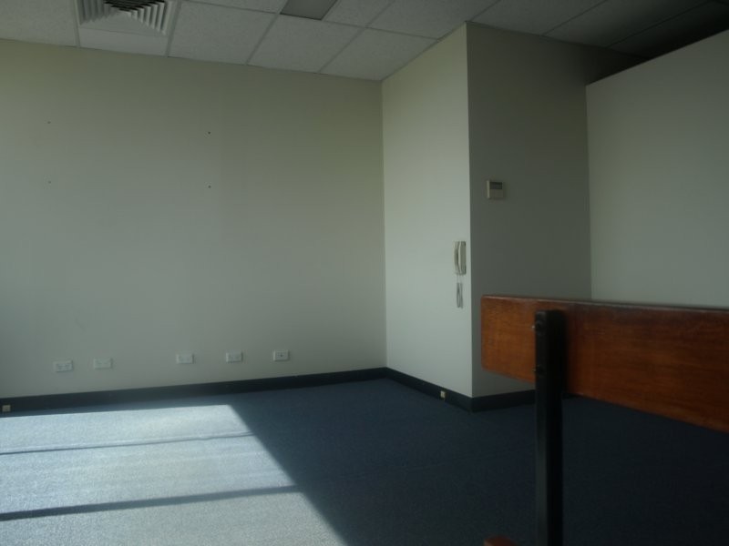 25A Euston Street, Rydalmere NSW 2116