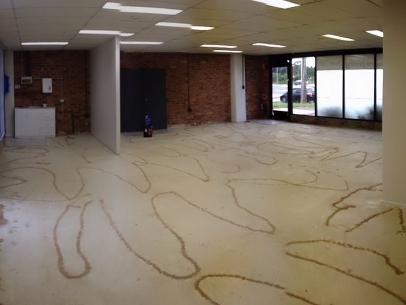 2a/202 Sunnyholt Road, Kings Park NSW 2148