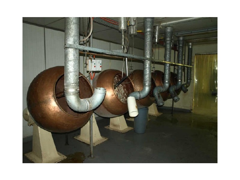 17 Richmond Rd, Homebush NSW 2140