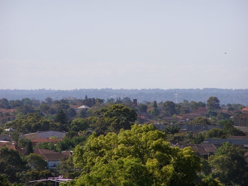 47 Flers Avenue, Earlwood NSW 2206