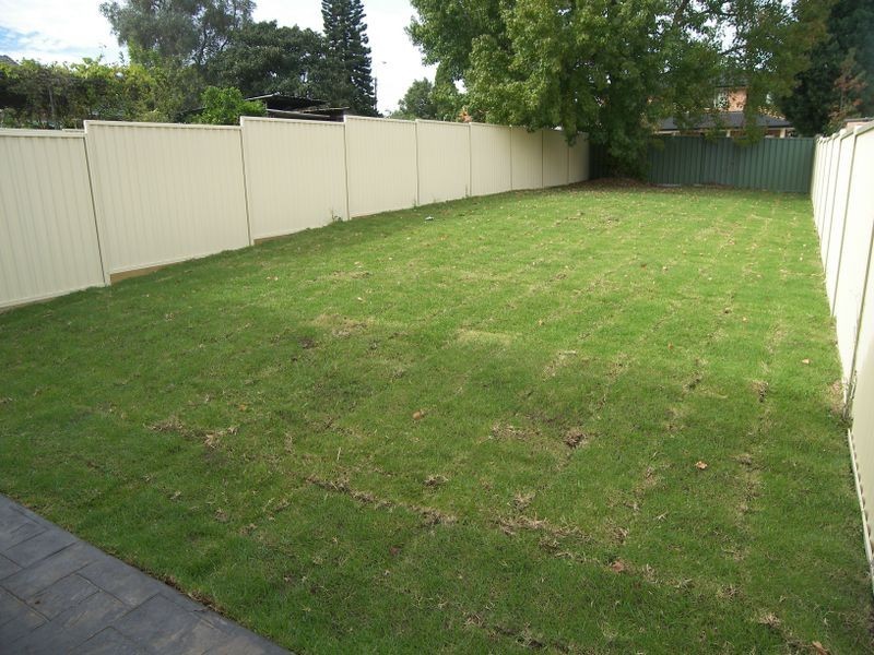6a Forsyth Street, Kingsgrove NSW 2208