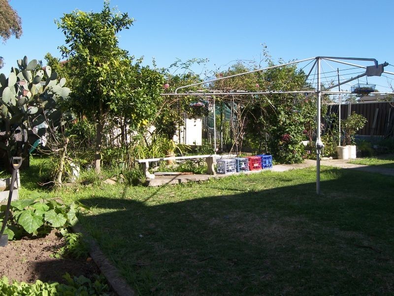 29 Kingsgrove Road, Belmore NSW 2192