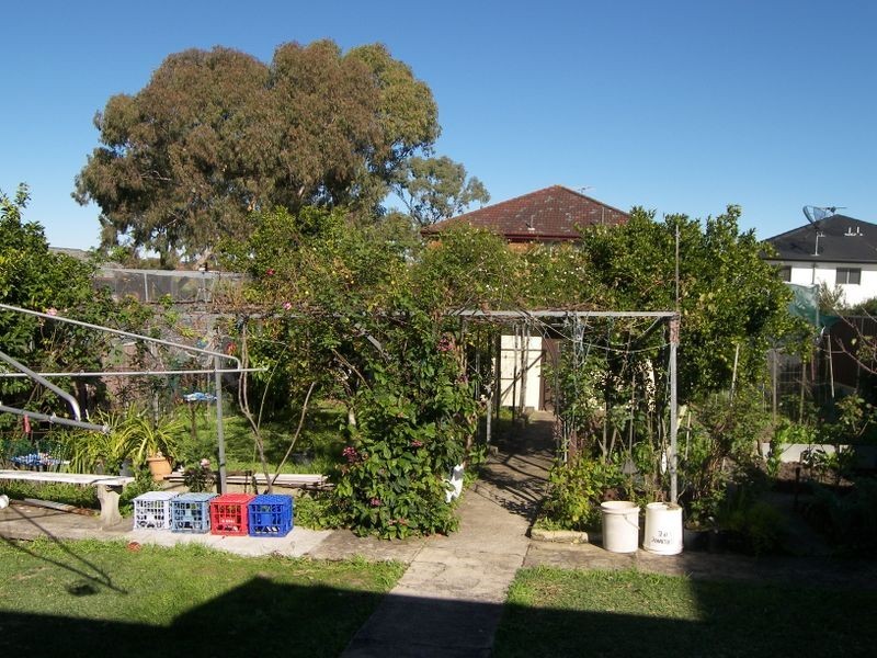 29 Kingsgrove Road, Belmore NSW 2192