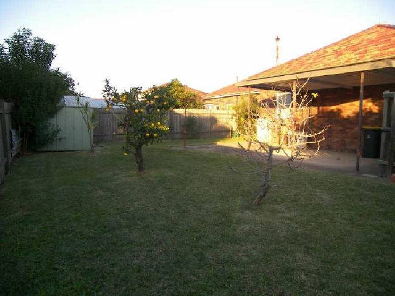 26 Alston Street, Kingsgrove NSW 2208