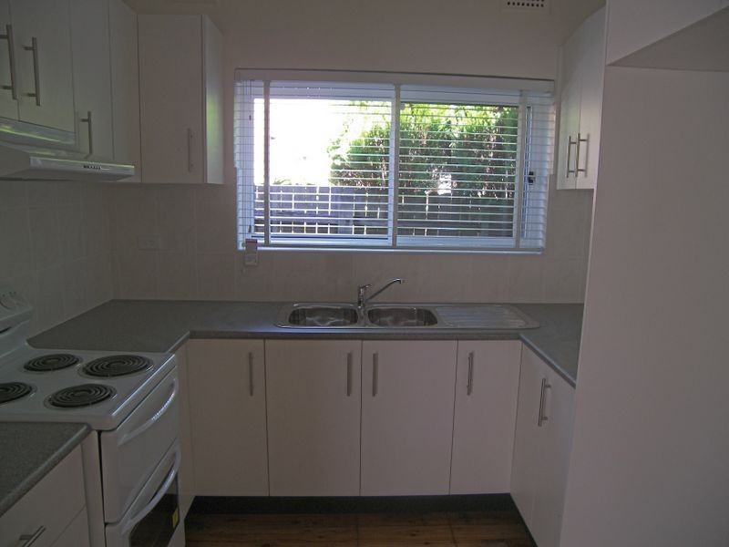 56 Coveney Street, Bexley North NSW 2207