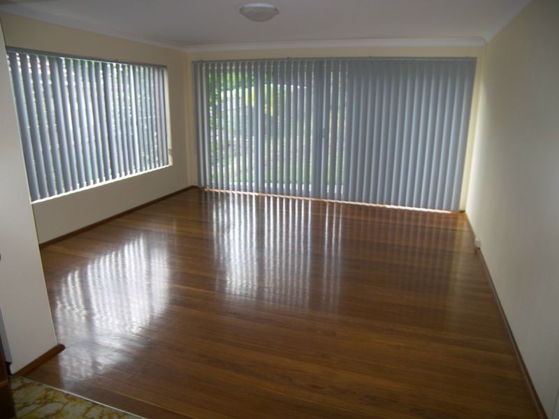 17 Pacific Street, Kingsgrove NSW 2208