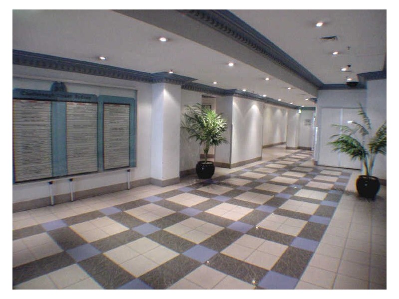 Suite 6/301 Castlereagh St, Sydney NSW 2000