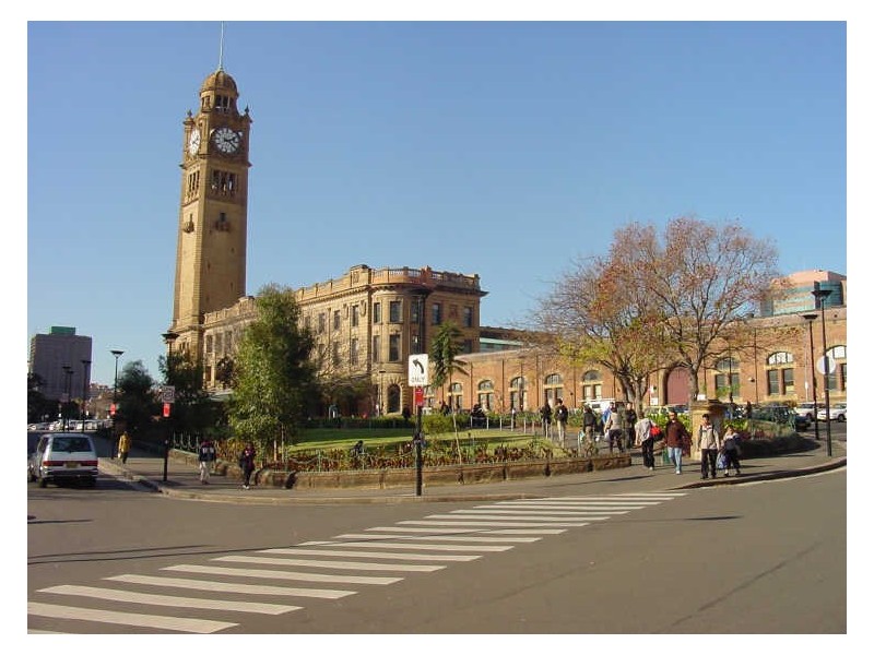 Suite 6/301 Castlereagh St, Sydney NSW 2000