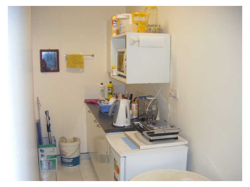 477/311-315 Castlereagh Street, Sydney NSW 2000