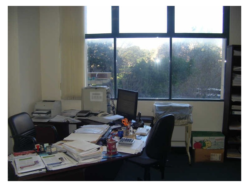 477/311-315 Castlereagh Street, Sydney NSW 2000