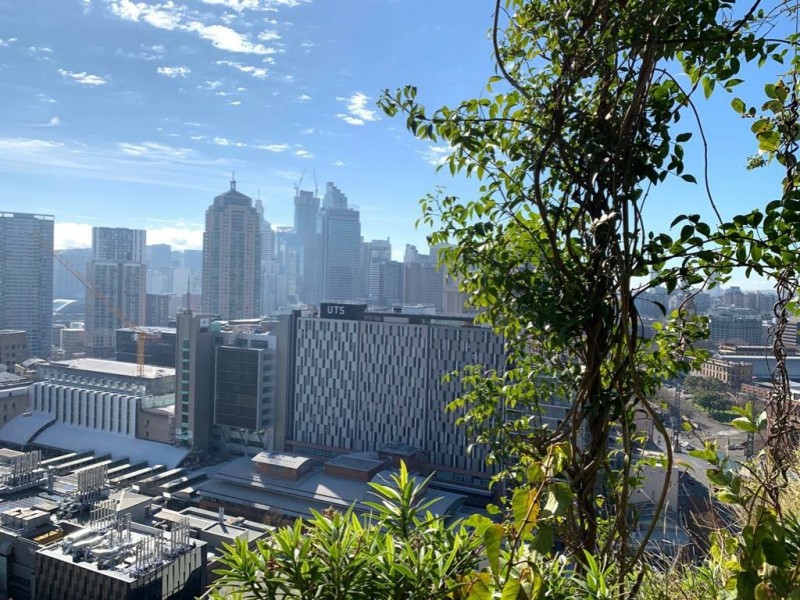 3 Carlton St, Chippendale NSW 2008