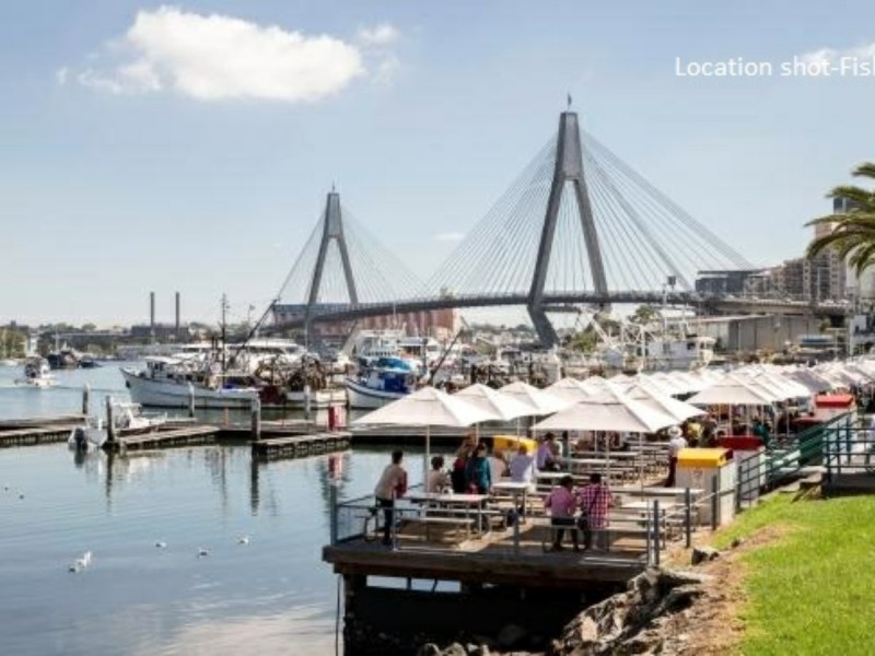 209 Harris Street, Pyrmont NSW 2009