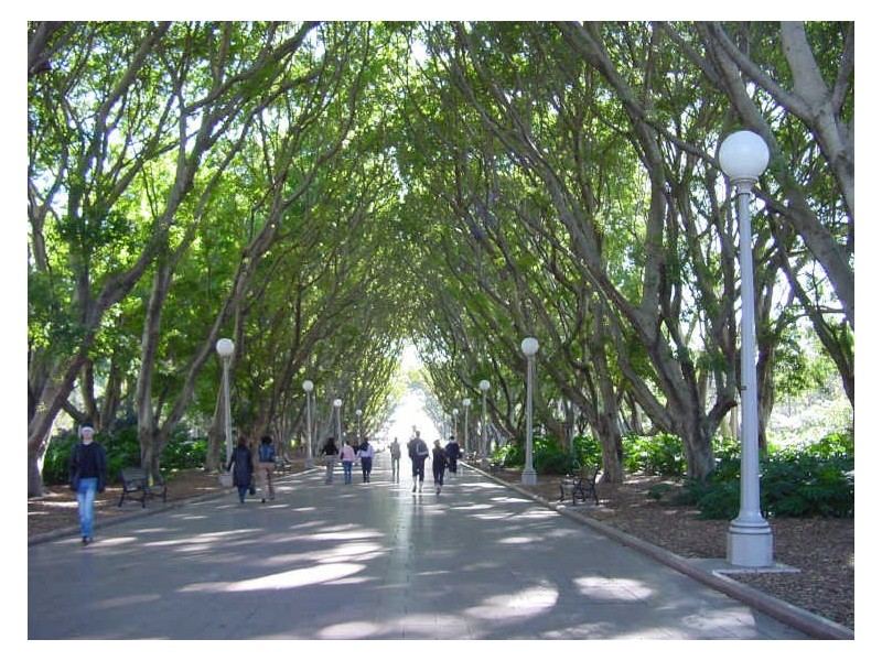 Lv 20/148 Elizabeth Street, Sydney NSW 2000