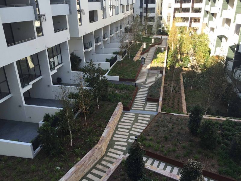 162 Ross St, Forest Lodge NSW 2037