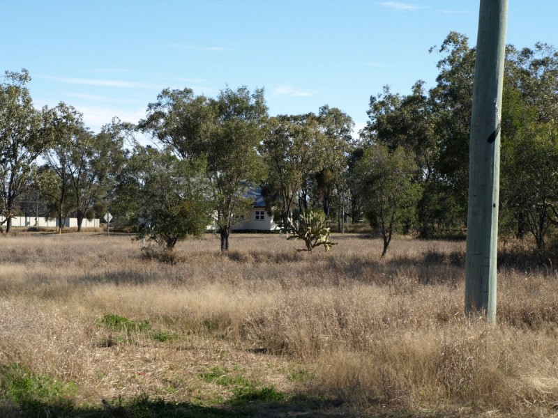 10 Leichhardt Highway (Cnr Kogan-Condamine), Condamine QLD 4416