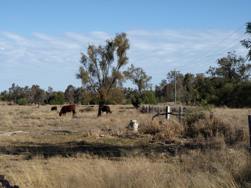 10 Leichhardt Highway (Cnr Kogan-Condamine), Condamine QLD 4416