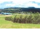 8700 Warrego Highway, Withcott QLD 4352