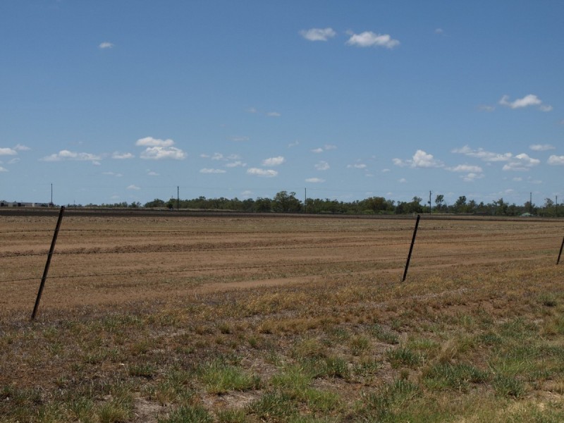 10 Fleming Drive, Roma QLD 4455