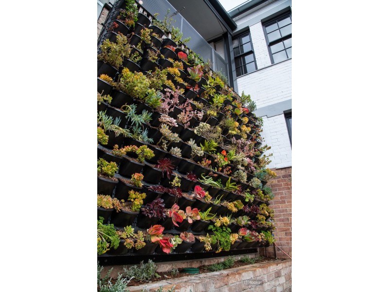 Courtyard Precinct/48-60 Russell Street, Toowoomba City QLD 4350