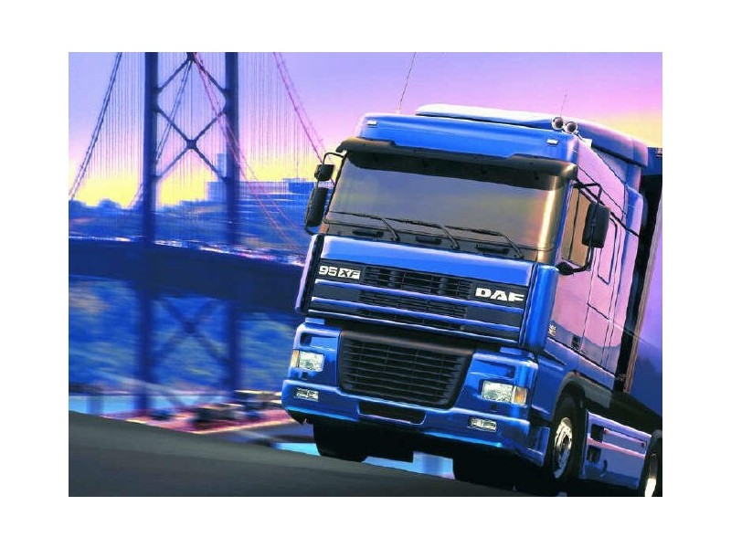 - Plenty of Muscle, Toowoomba QLD 4350