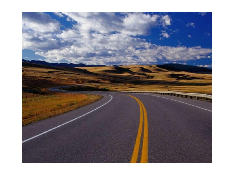 - Plenty of Muscle, Toowoomba QLD 4350