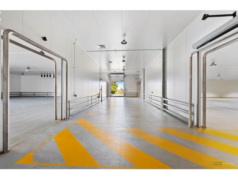 2 Foundation Street, Wellcamp QLD 4350