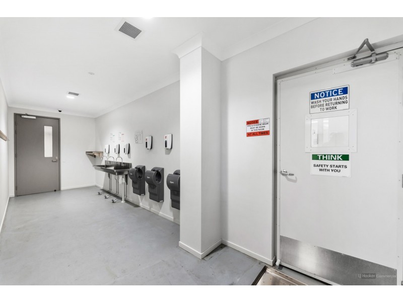 2 Foundation Street, Wellcamp QLD 4350