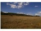 Lot 3 Gowrie Tilgonda Road, Gowrie Junction QLD 4352
