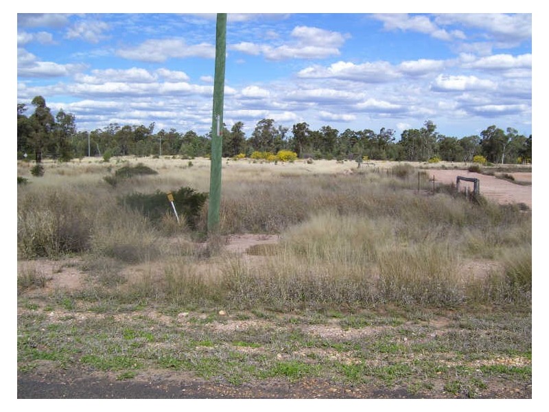 Cnr Mcnulty Street & Laycock Road, Miles QLD 4415